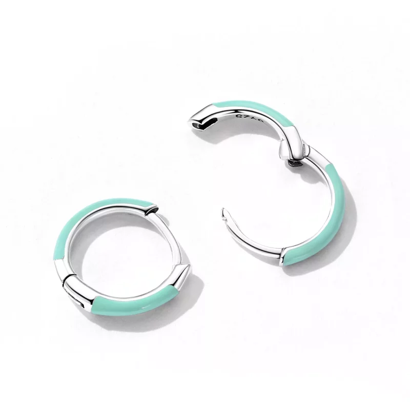 (imagen para) Aretes de aro de doble círculo estilo Pandora - SCE1454 - Ver 4