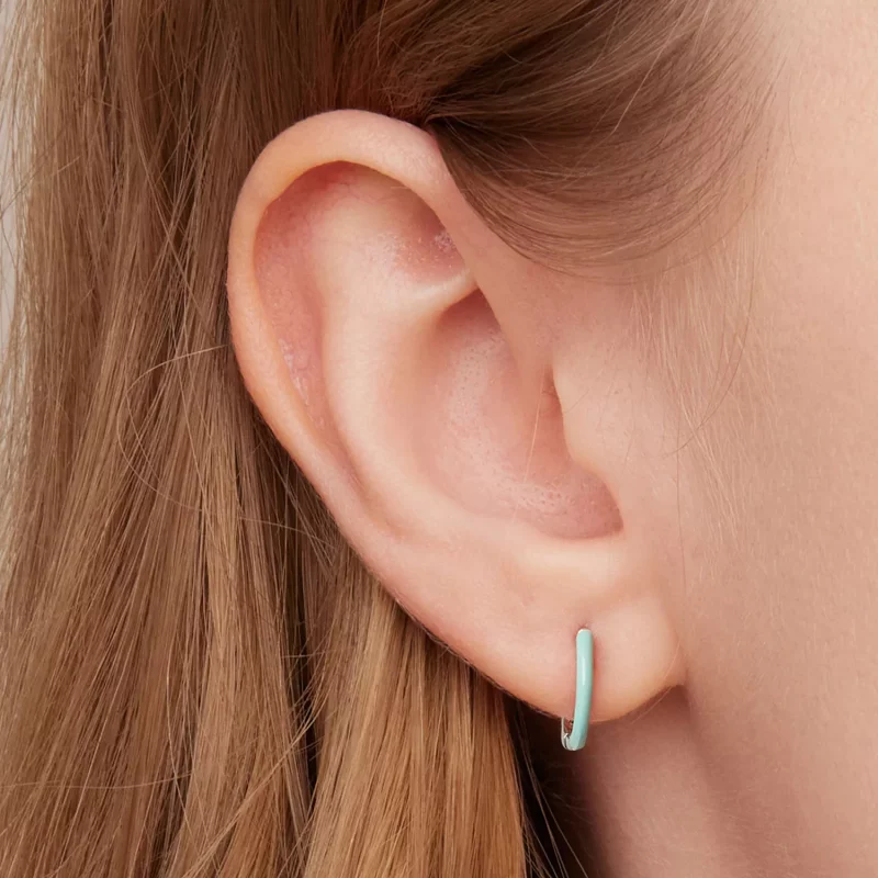 (imagen para) Aretes de aro de doble círculo estilo Pandora - SCE1454 - Ver 5
