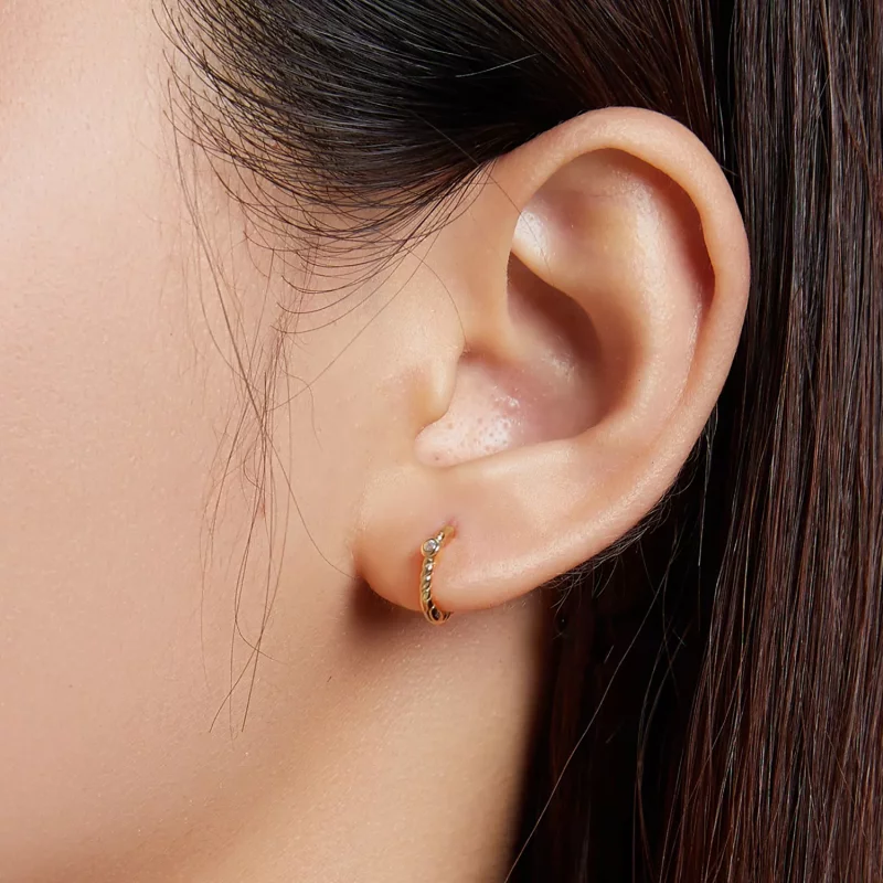 (imagen para) Aretes de estilo Pandora con aro francés - SCE1255 - Ver 5