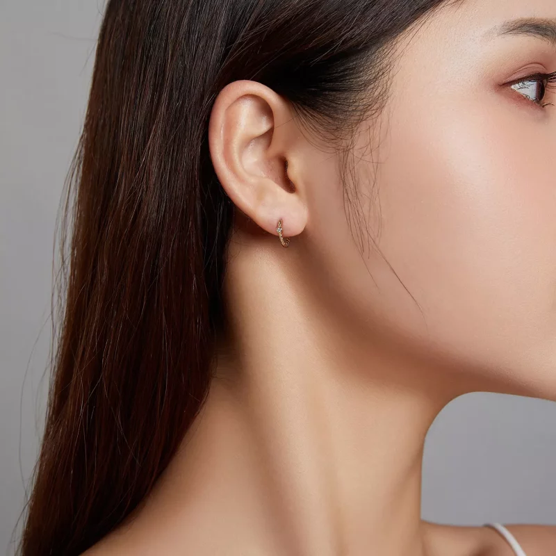 (imagen para) Aretes de estilo Pandora con aro francés - SCE1255 - Ver 6