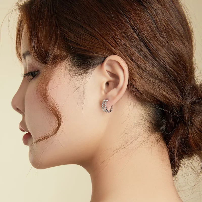 (imagen para) Aros estilo Pandora de doble capa y diseño simple - BSE458 - Ver 8