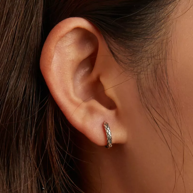 (imagen para) Pendientes de aro con diseño de serpiente al estilo Pandora - SCE1354 - Ver 5