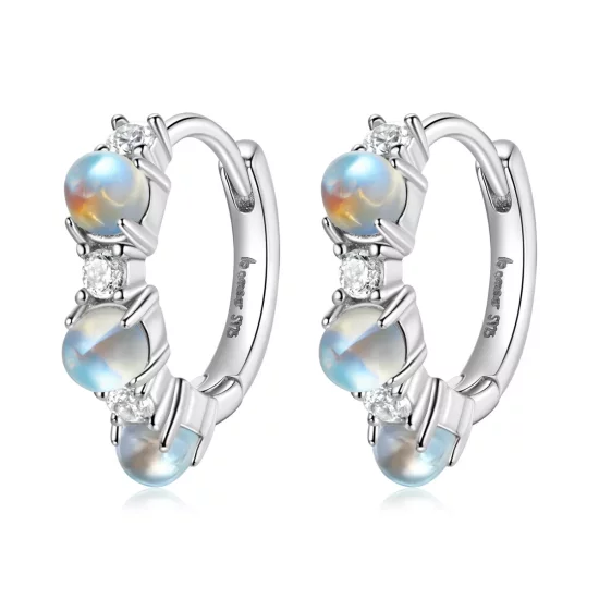 (imagen para) Pendientes estilo Pandora de aro simple - BSE532