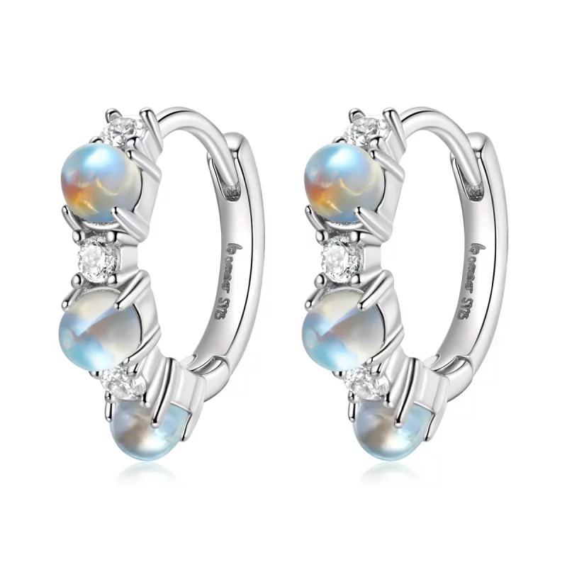 (imagen para) Pendientes estilo Pandora de aro simple - BSE532