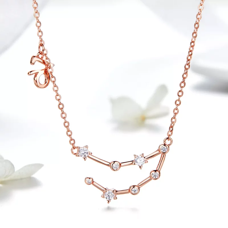 (imagen para) Collar estilo Pandora Capricornio - BSN026 - Ver 2