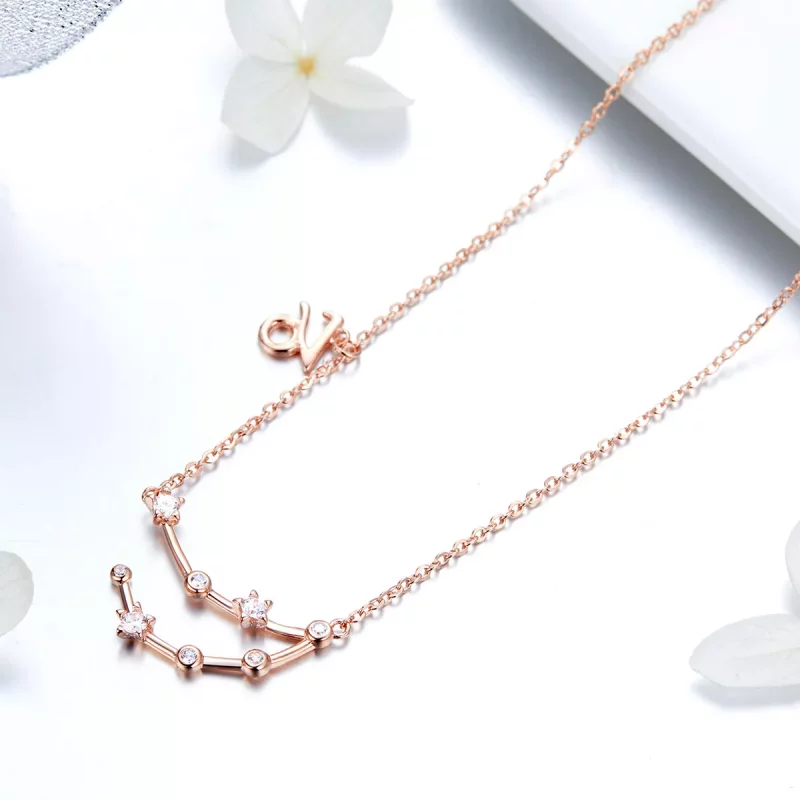 (imagen para) Collar estilo Pandora Capricornio - BSN026 - Ver 3
