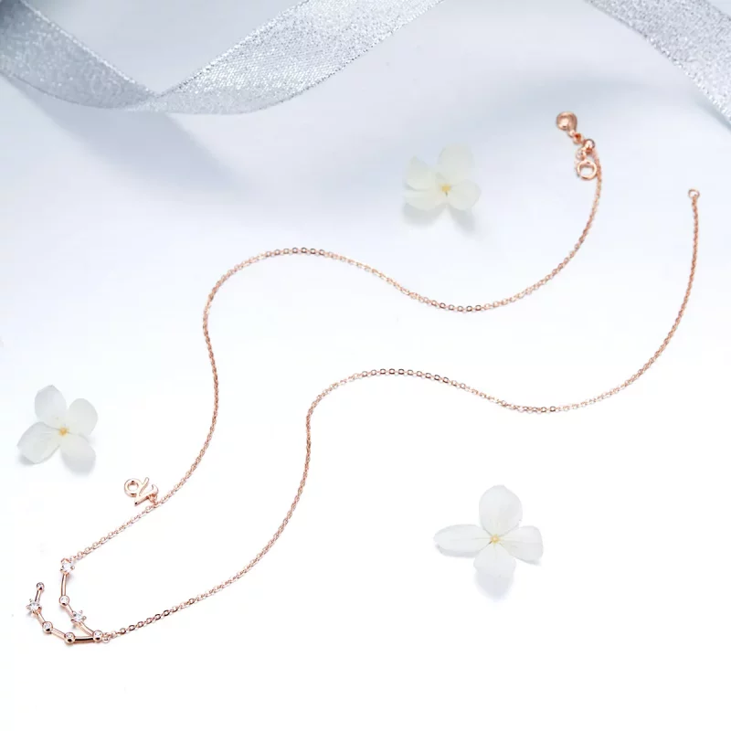 (imagen para) Collar estilo Pandora Capricornio - BSN026 - Ver 5
