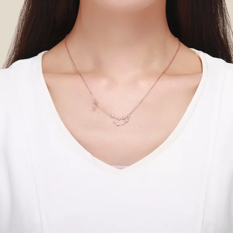 (imagen para) Collar estilo Pandora Capricornio - BSN026 - Ver 6