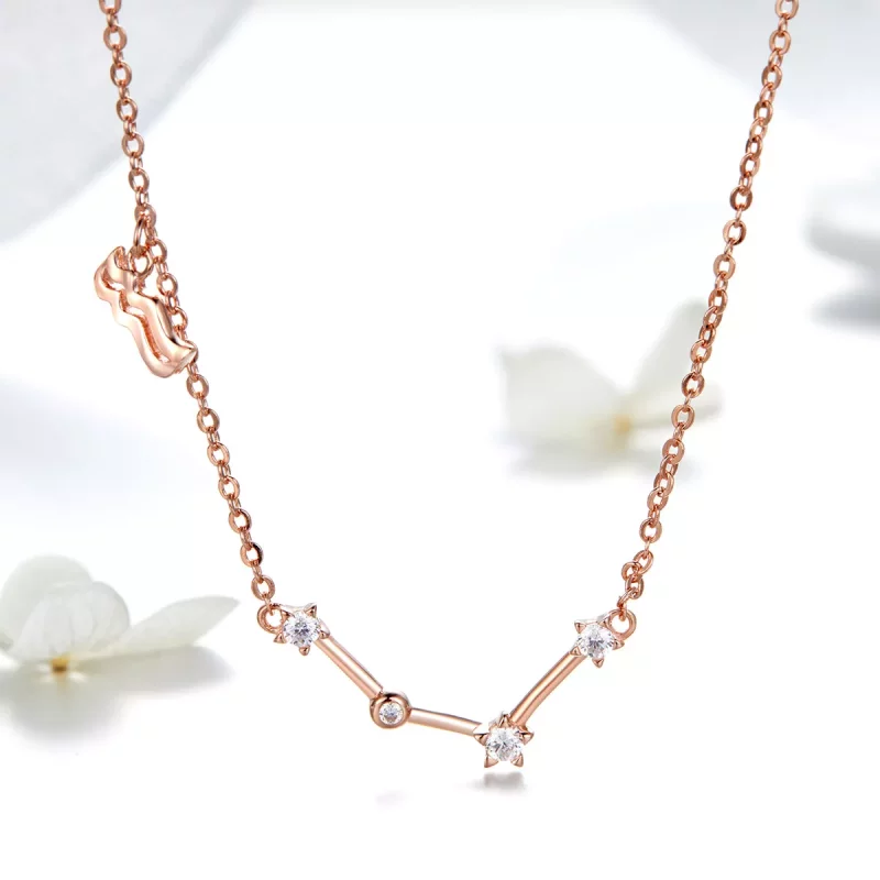 (imagen para) Collar estilo Pandora del signo Acuario - BSN016 - Ver 2