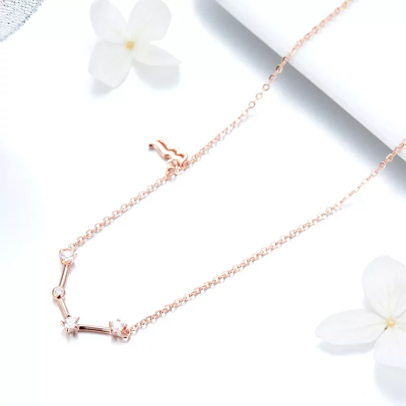 (imagen para) Collar estilo Pandora del signo Acuario - BSN016 - Ver 3