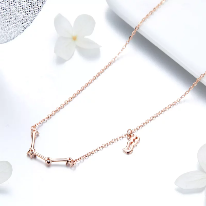 (imagen para) Collar estilo Pandora del signo Acuario - BSN016 - Ver 4