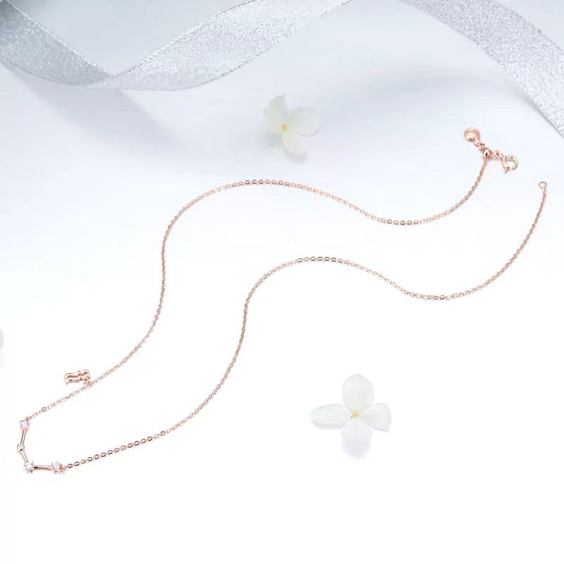 (imagen para) Collar estilo Pandora del signo Acuario - BSN016 - Ver 5
