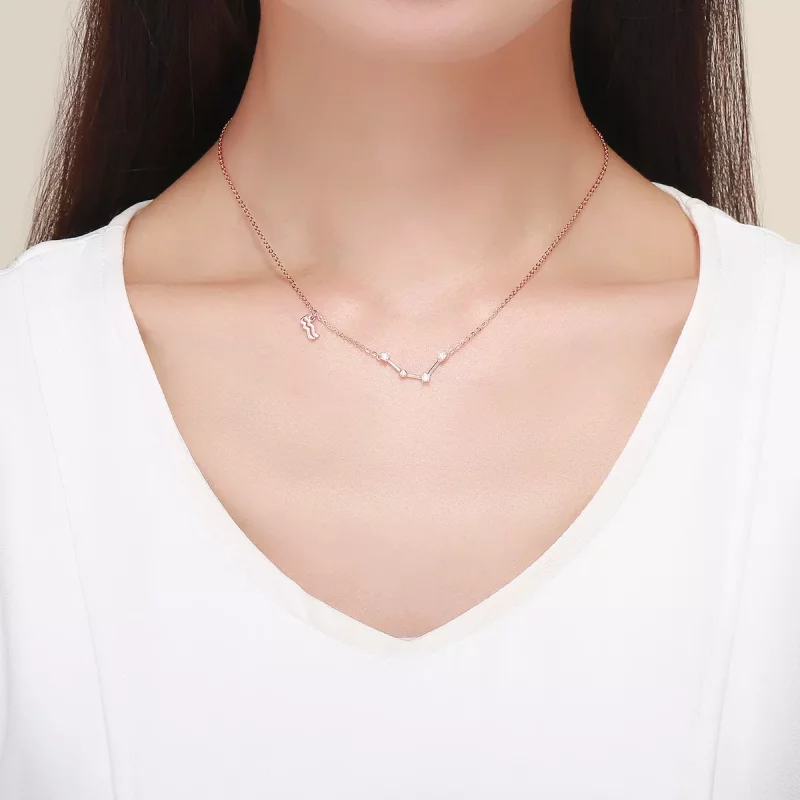 (imagen para) Collar estilo Pandora del signo Acuario - BSN016 - Ver 6