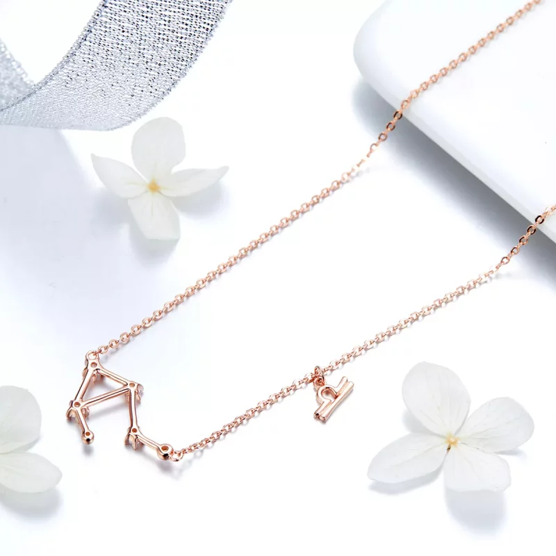(imagen para) Collar estilo Pandora Libra - BSN022 - Ver 4