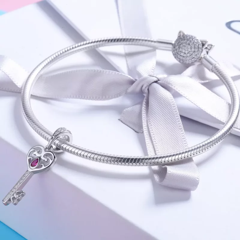 (imagen para) Estilo Pandora Plata El Llavero de la Felicidad Colgante - SCC791 - Ver 4