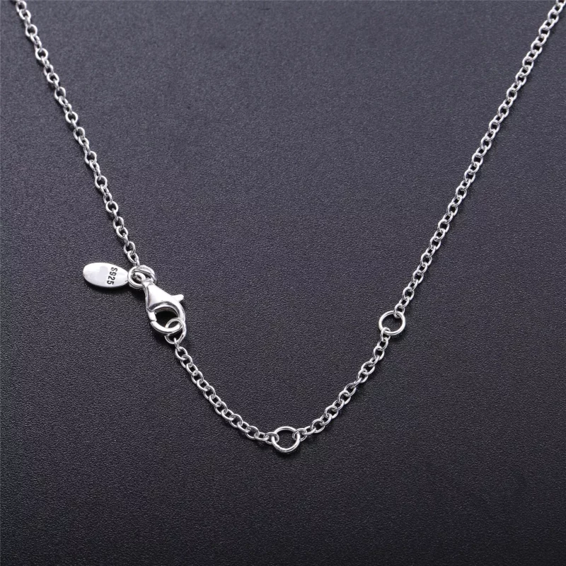 (imagen para) Collar Corazón Amado - PANDORA - Ver 3