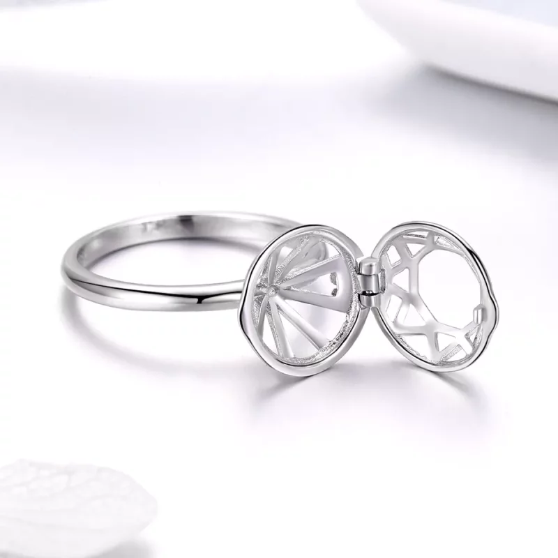 (imagen para) Anillo Testimonio de Amor en Plata Estilo Pandora - SCR492 - Ver 6