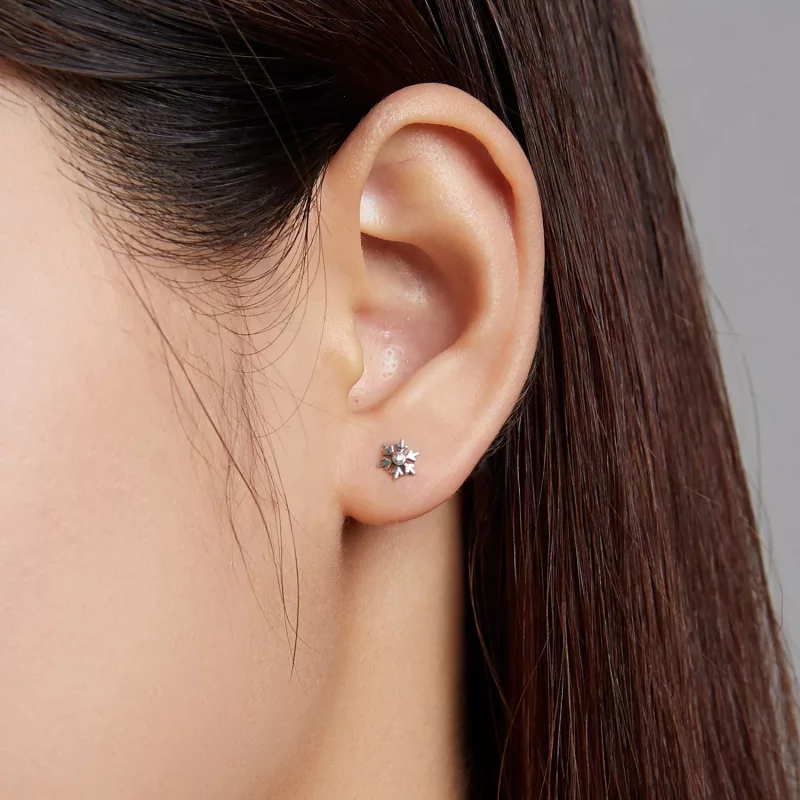 (imagen para) Aretes con hermosos copos de nieve estilo Pandora - BSE529 - Ver 6