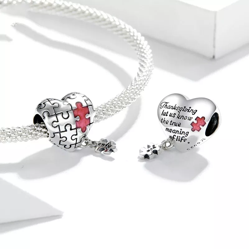 (imagen para) Charm de plata estilo Pandora con autismo - SCC1635 - Ver 2