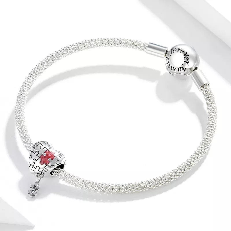 (imagen para) Charm de plata estilo Pandora con autismo - SCC1635 - Ver 3