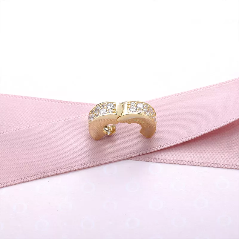 (imagen para) Clip Elegancia Brillante - PANDORA - Ver 3