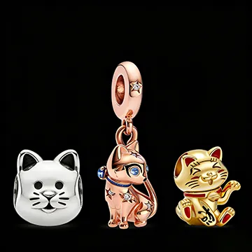 (imagen para) Gato
